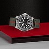 Tudor Pelagos FXD